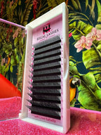 Extensii pre-made 2D YY curbura L