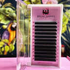 YY Regal Lashes pre-made eyelashes