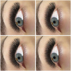 Pre-made eyelashes 3D W 0.10 (undoubled)